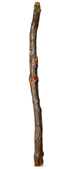 Heartland Didgeridoo (HD305)